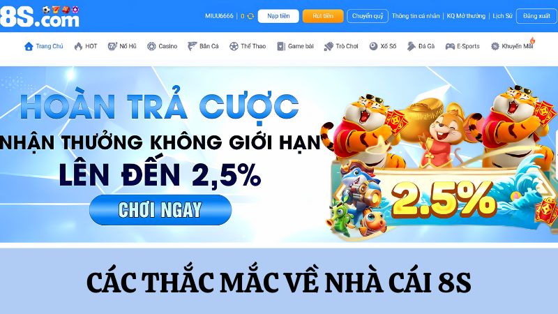 câu hỏi về Giới thiệu 8S
