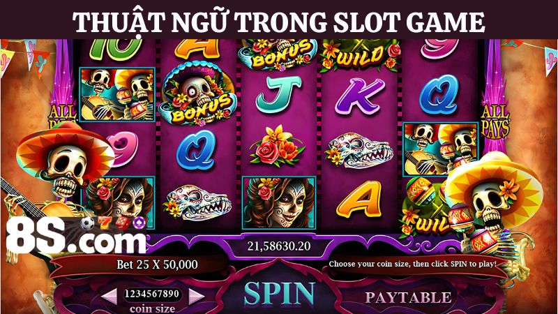 thuật ngữ Slot game