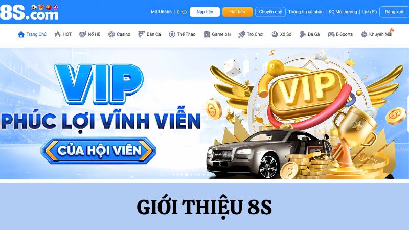 Giới thiệu 8S